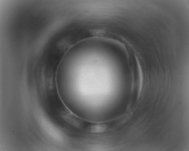 X0000083590525200702091157
