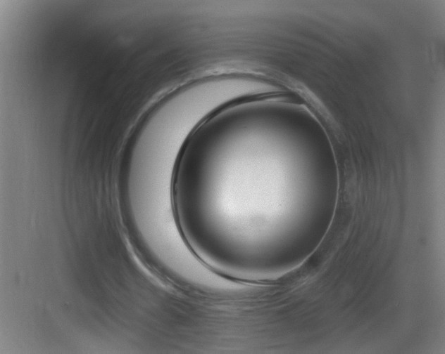 X0000083590530200702091156