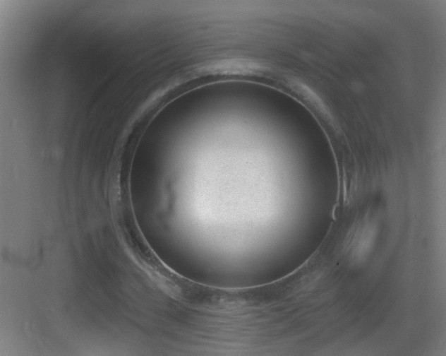 X0000083590531200702091156