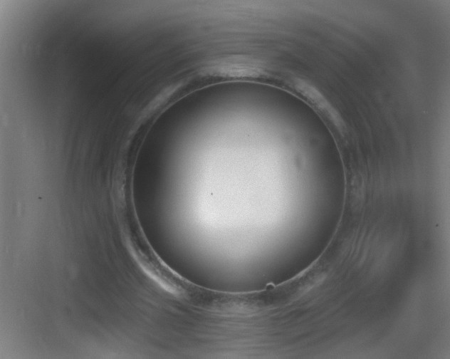 X0000083590533200702091156