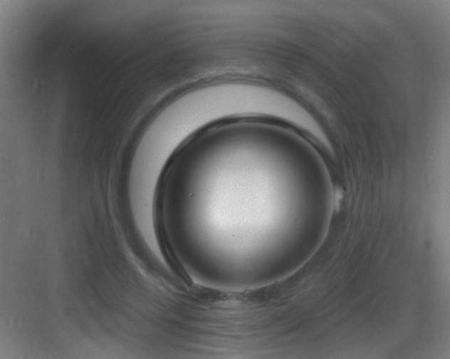 X0000083590544200702091156
