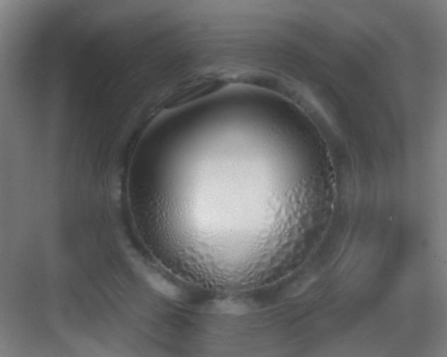 X0000083590545200702091156