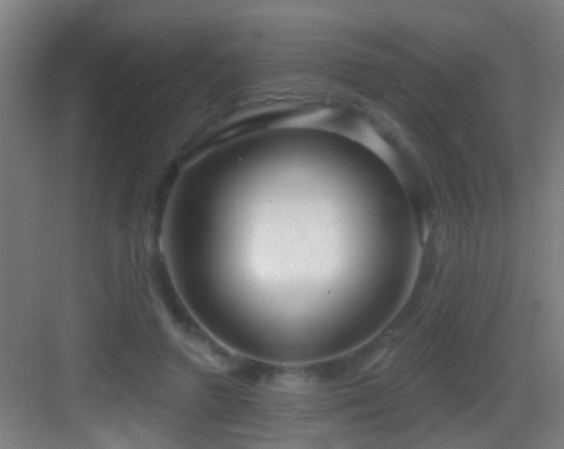 X0000083590546200702091156