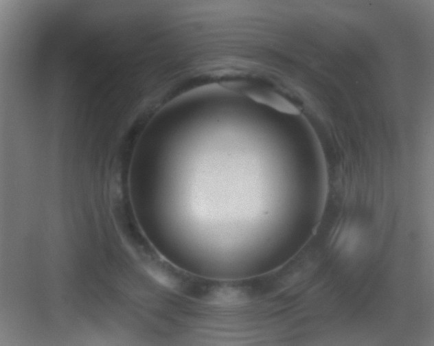 X0000083590547200702091156