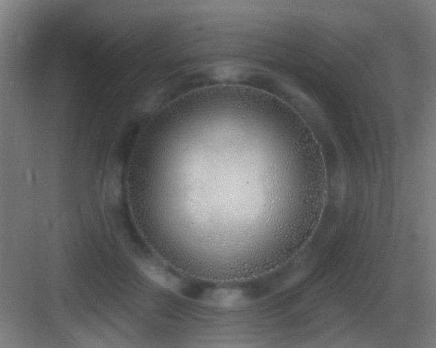 X0000083590554200702091156