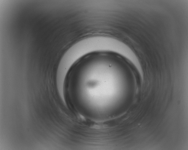 X0000083590556200702091156