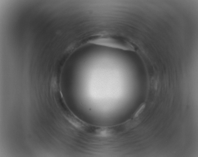 X0000083590564200702091156