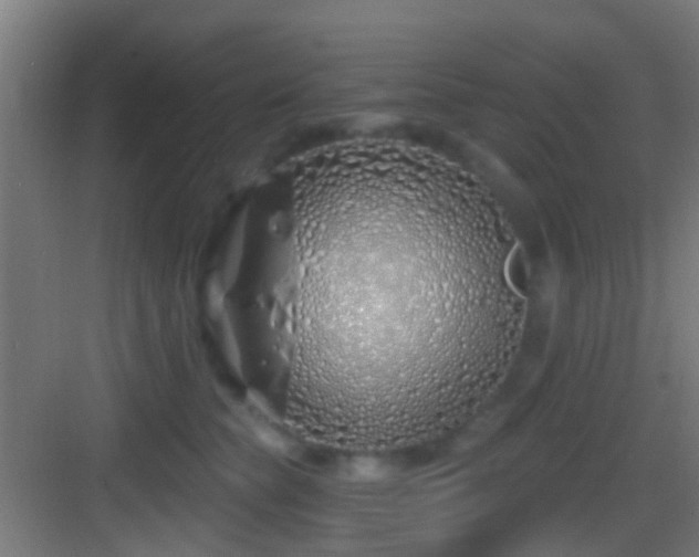 X0000083590565200702091156