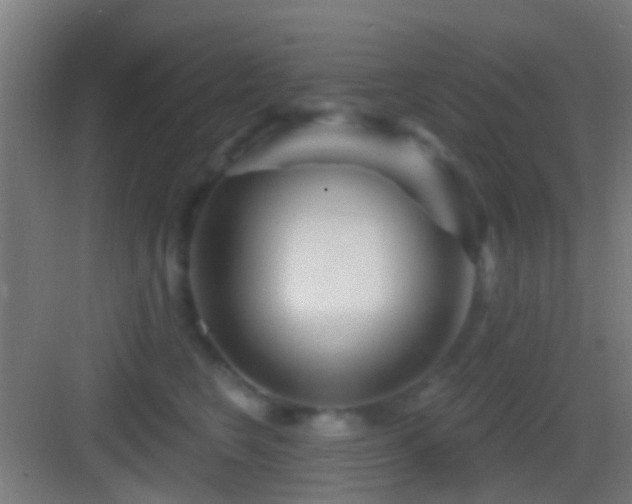X0000083590566200702091156