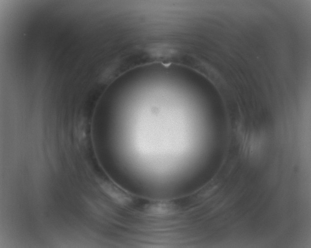 X0000083590567200702091156