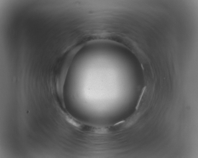 X0000083590576200702091157