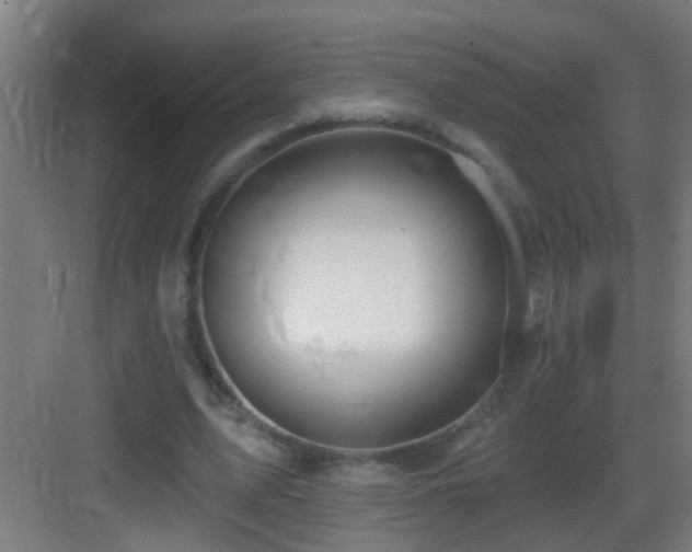X0000083590583200702091156