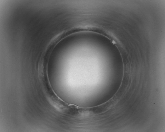 X0000083590587200702091156