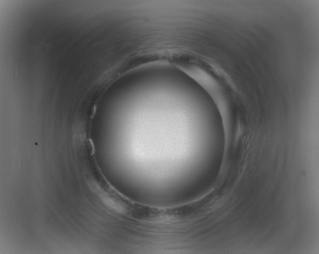 X0000083590593200702091155