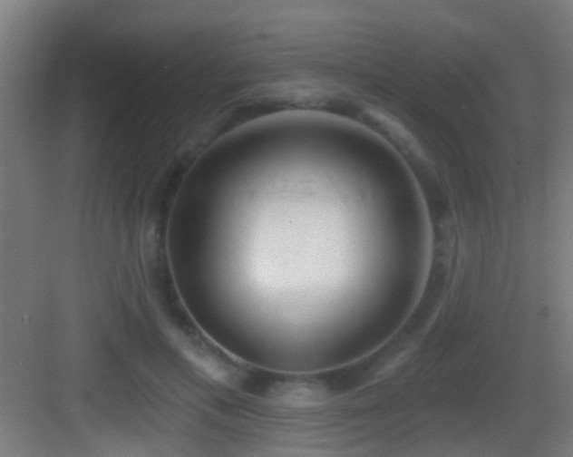 X0000083590597200702091155