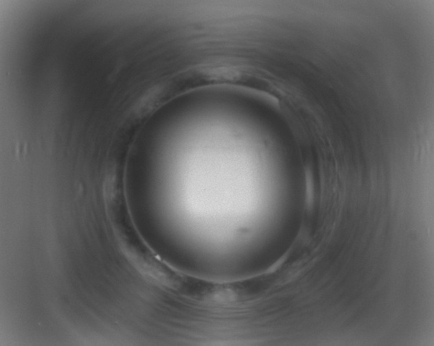 X0000083590600200702091155