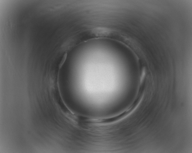 X0000083590604200702091155