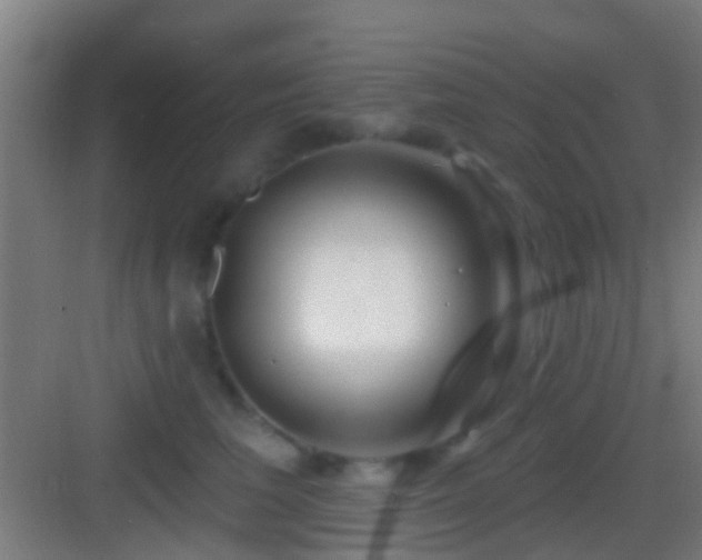 X0000083590613200702091155