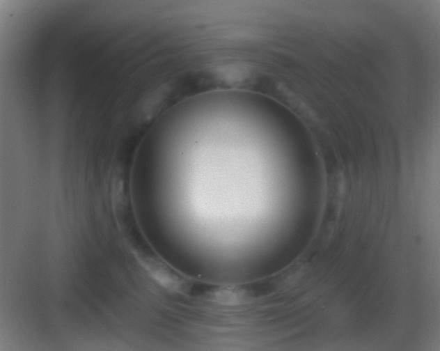 X0000083590615200702091155