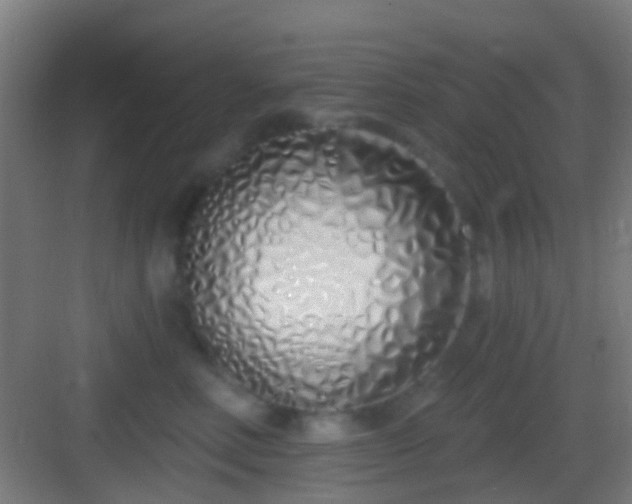 X0000083590618200702091155