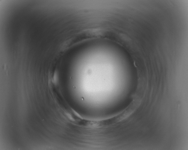 X0000083590624200702091155
