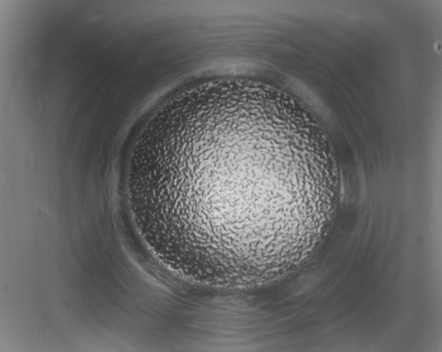 X0000083590627200702091154