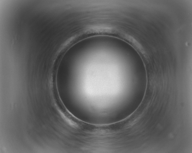 X0000083590629200702091154