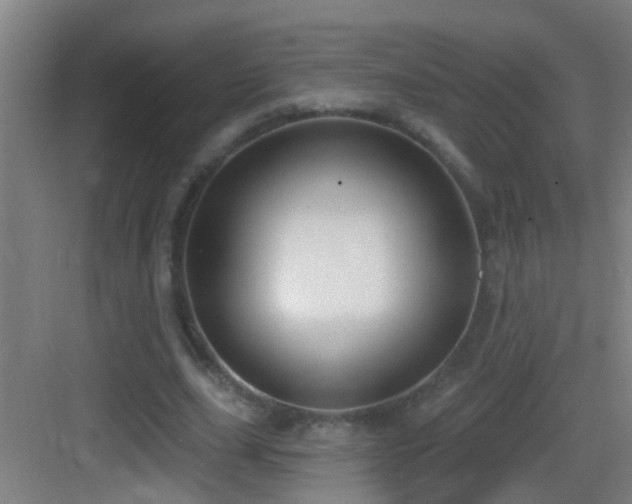 X0000083590631200702091154