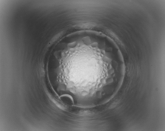 X0000083590634200702091154
