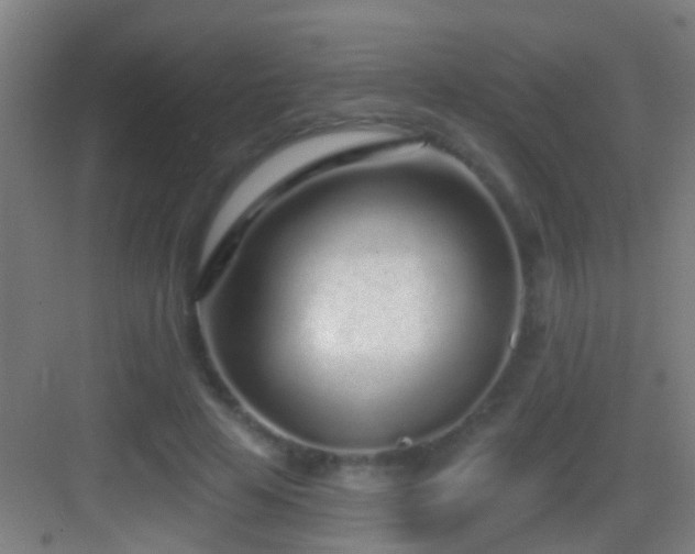 X0000083590641200702091154