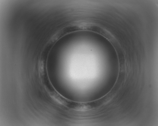 X0000083590646200702091154