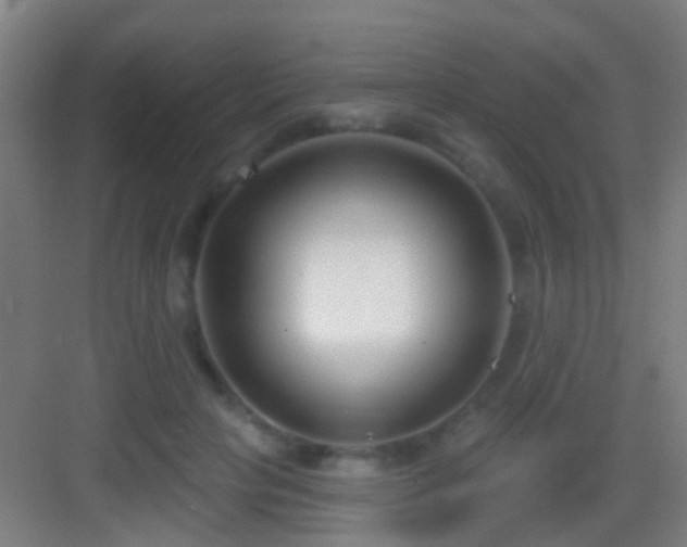 X0000083590649200702091155