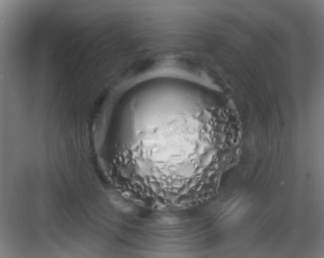X0000083590658200702091155