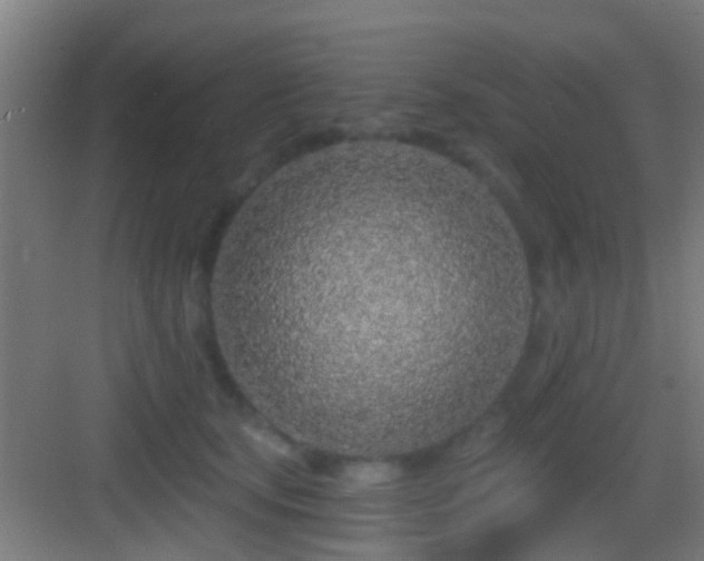 X0000083590659200702091155