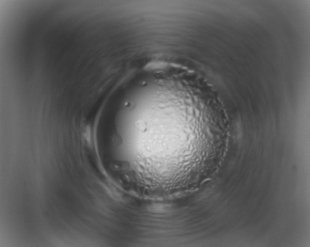 X0000083590664200702091155