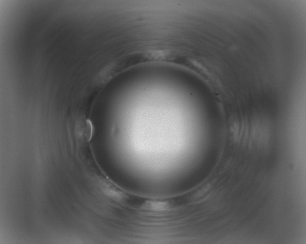 X0000083590665200702091155