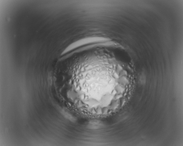 X0000083590666200702091155