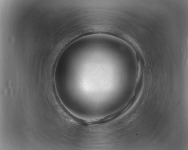 X0000083590673200702091154