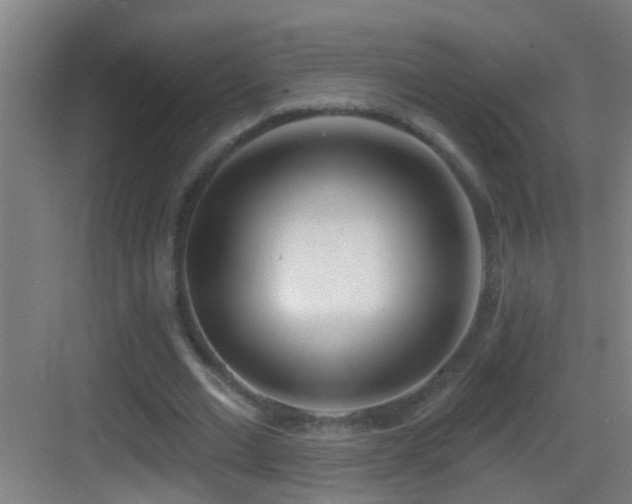 X0000083590677200702091154