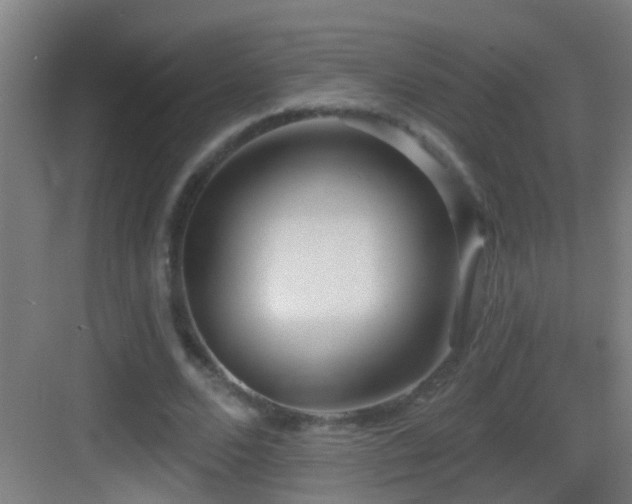X0000083590680200702091154