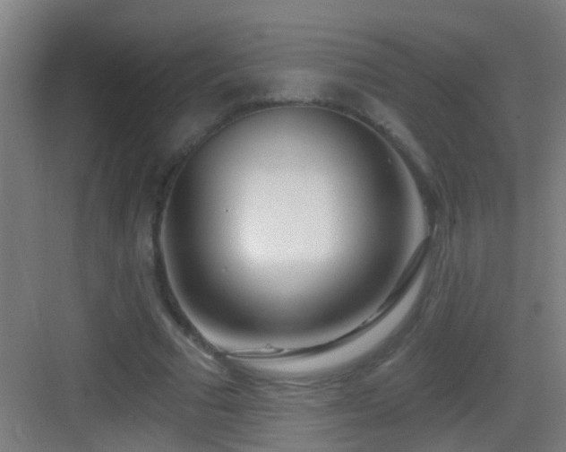 X0000083590681200702091154