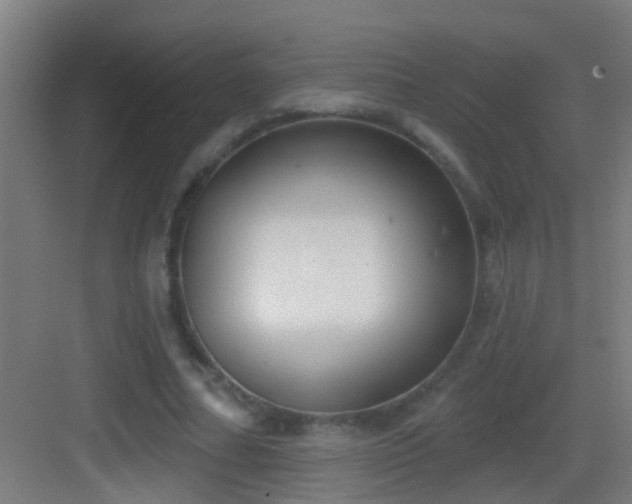 X0000083590682200702091154