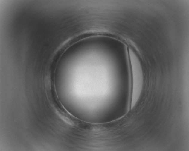 X0000083590684200702091154