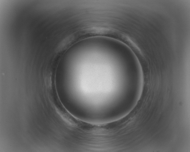 X0000083590685200702091154