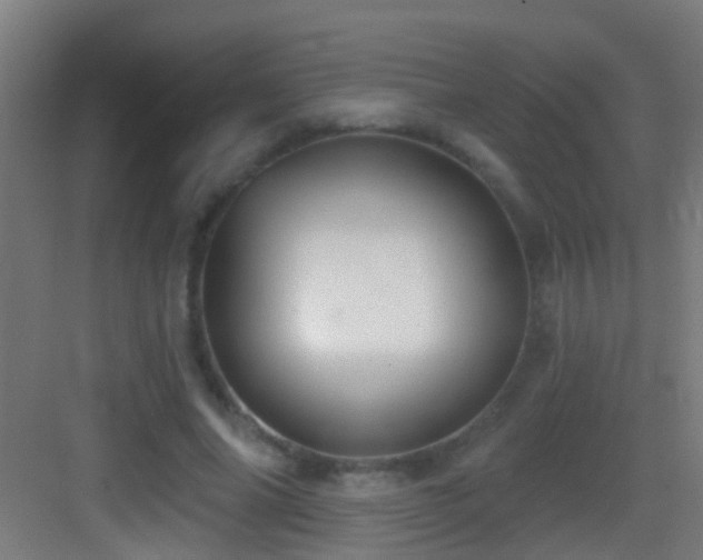 X0000083590686200702091154