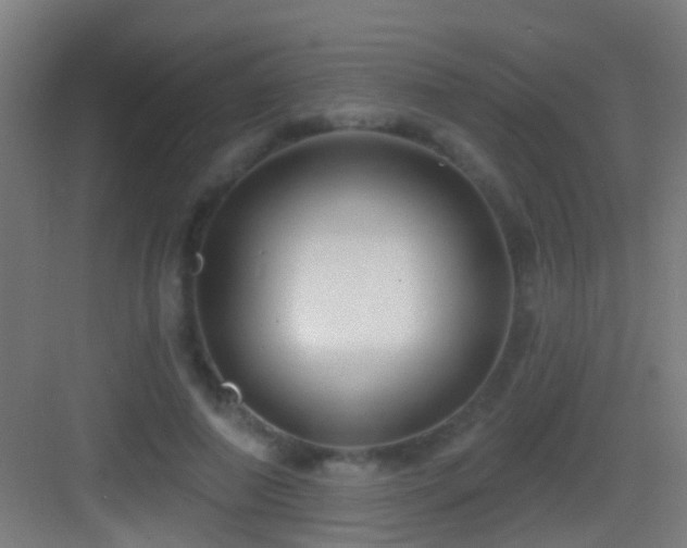 X0000083590690200702091154