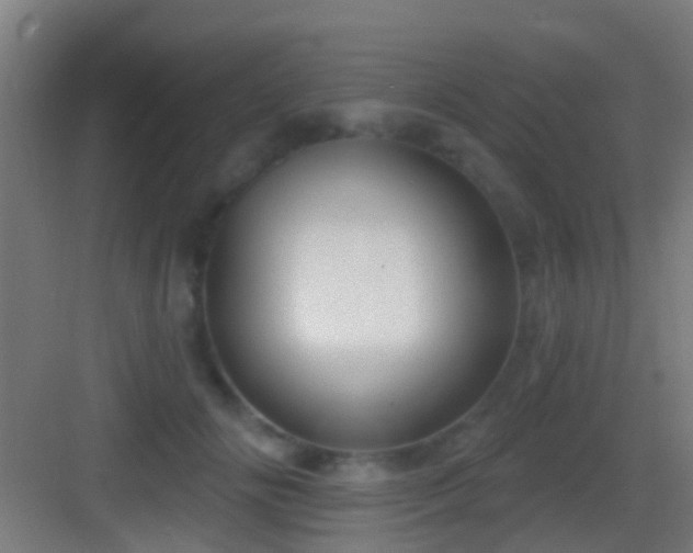 X0000083590702200702091153