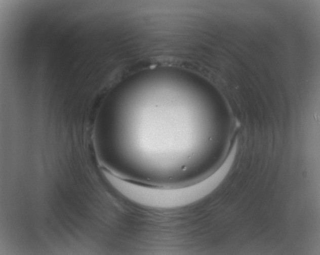 X0000083590712200702091153