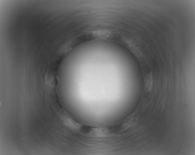X0000083590713200702091153