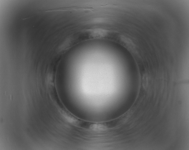 X0000083590714200702091153